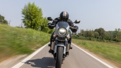 Gallery - immagine 8#