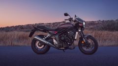 Gallery - immagine 4#