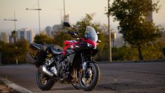 Gallery - immagine #13