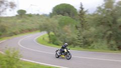 Gallery - immagine 7#