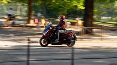 Gallery - immagine #13