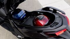 Gallery - immagine 7#