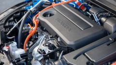 Gallery - immagine 3#