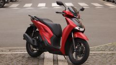 Gallery - immagine 10#