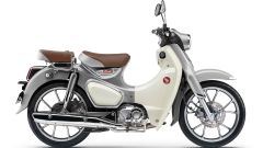 Gallery - immagine 2#