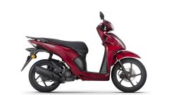 Gallery - immagine 2#