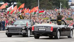 Gallery - immagine 6#