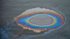 Gallery - immagine 2#