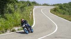 Gallery - immagine 11#