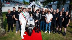 Gallery - immagine 2#