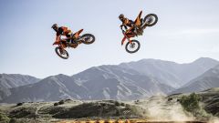 Gallery - immagine 2#