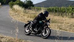 Gallery - immagine 6#