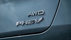 Gallery - immagine 9#