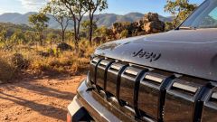 Gallery - immagine 3#