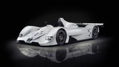 Gallery - immagine 5#