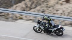 Gallery - immagine #16