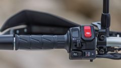 Gallery - immagine 7#