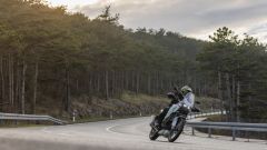 Gallery - immagine #13