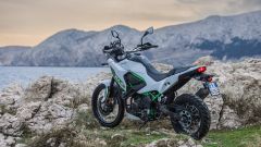 Gallery - immagine 2#