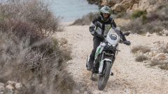 Gallery - immagine 10#