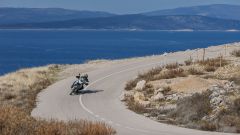 Gallery - immagine #14