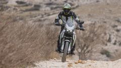 Gallery - immagine 11#