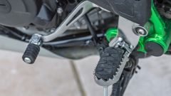 Gallery - immagine 8#