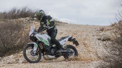 Gallery - immagine #12