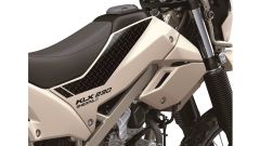 Gallery - immagine 2#