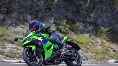 Gallery - immagine 11#