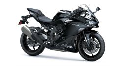 Gallery - immagine 2#