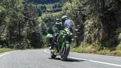 Gallery - immagine 5#