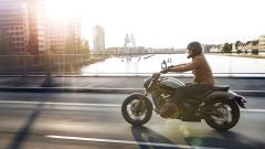 Gallery - immagine 8#
