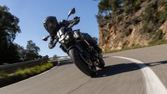 Gallery - immagine 10#