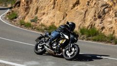 Gallery - immagine 8#