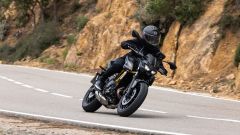 Gallery - immagine 2#