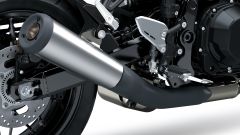 Gallery - immagine 6#