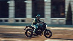 Gallery - immagine 2#