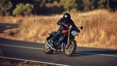 Gallery - immagine 3#