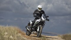 Gallery - immagine 2#