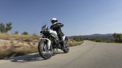 Gallery - immagine 7#