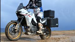 Gallery - immagine 2#