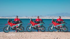 Gallery - immagine 2#