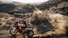 Gallery - immagine 4#