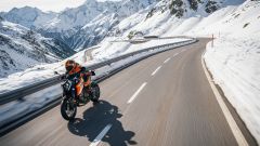 Gallery - immagine 3#