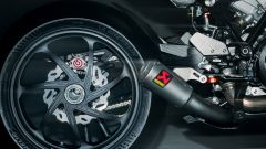 Gallery - immagine #13