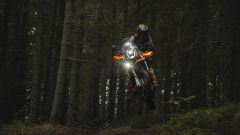Gallery - immagine 2#