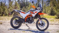 Gallery - immagine 3#