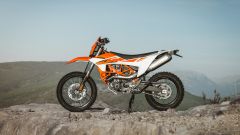 Gallery - immagine 5#
