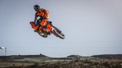 Gallery - immagine 4#